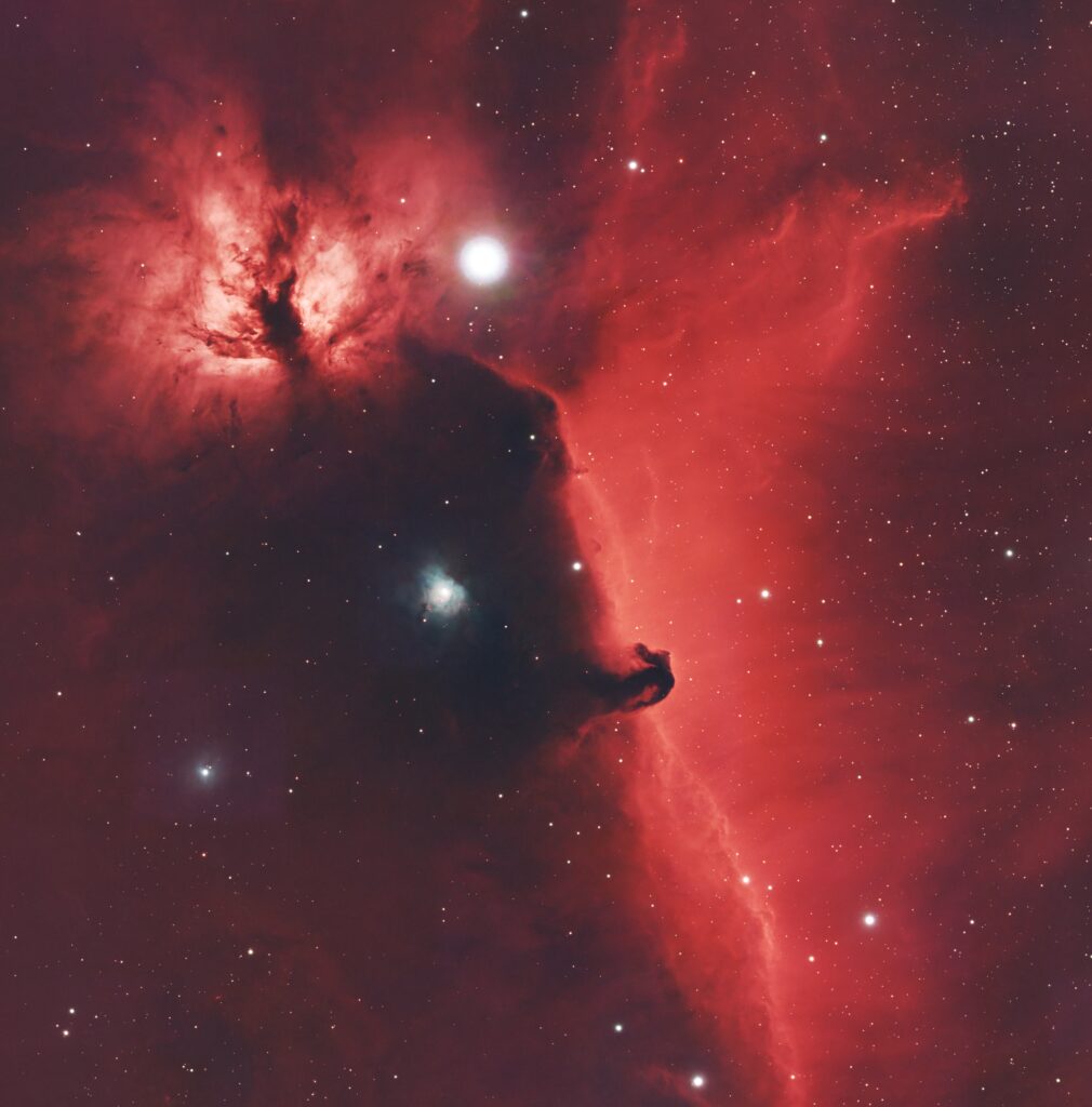 Horsehead and Flame Nebulas